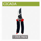 CICADA Products