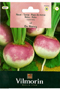 Turnip De Nancy