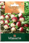 Radish National 2