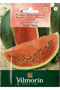 Watermelon Sugar Baby