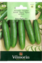 Cucumber Lebanese