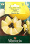 Melon Amarillo Oro