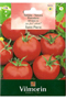 Tomato Saint Pierre