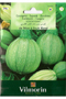 Squash Nice a Fruit Rond