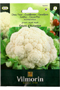 Cauliflower Giant of Autumn