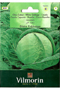 Cabbage White
