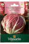 Chicory Wild Palla Rossa