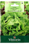Lettuce Batavia