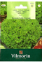 Lettuce Batavia Lollo Bionda