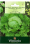 Lettuce Great Lakes 
