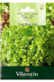 Lettuce Salad Bowl